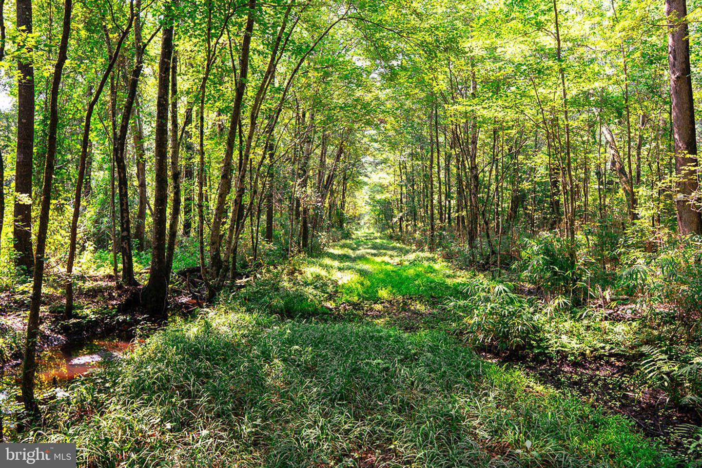 663.8 Acres Peach Rd Property Photo 23