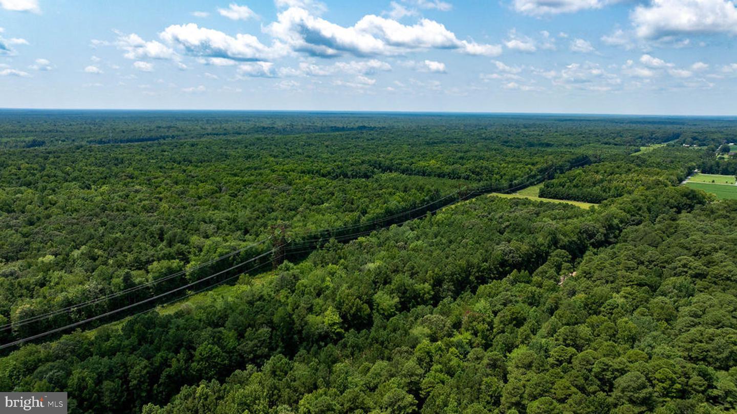 663.8 Acres Peach Rd Property Photo 25