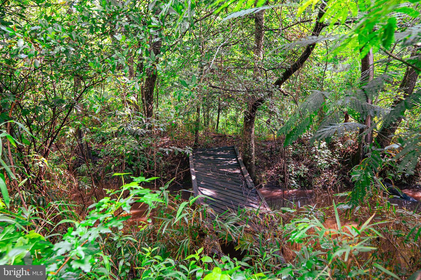 663.8 Acres Peach Rd Property Photo 26
