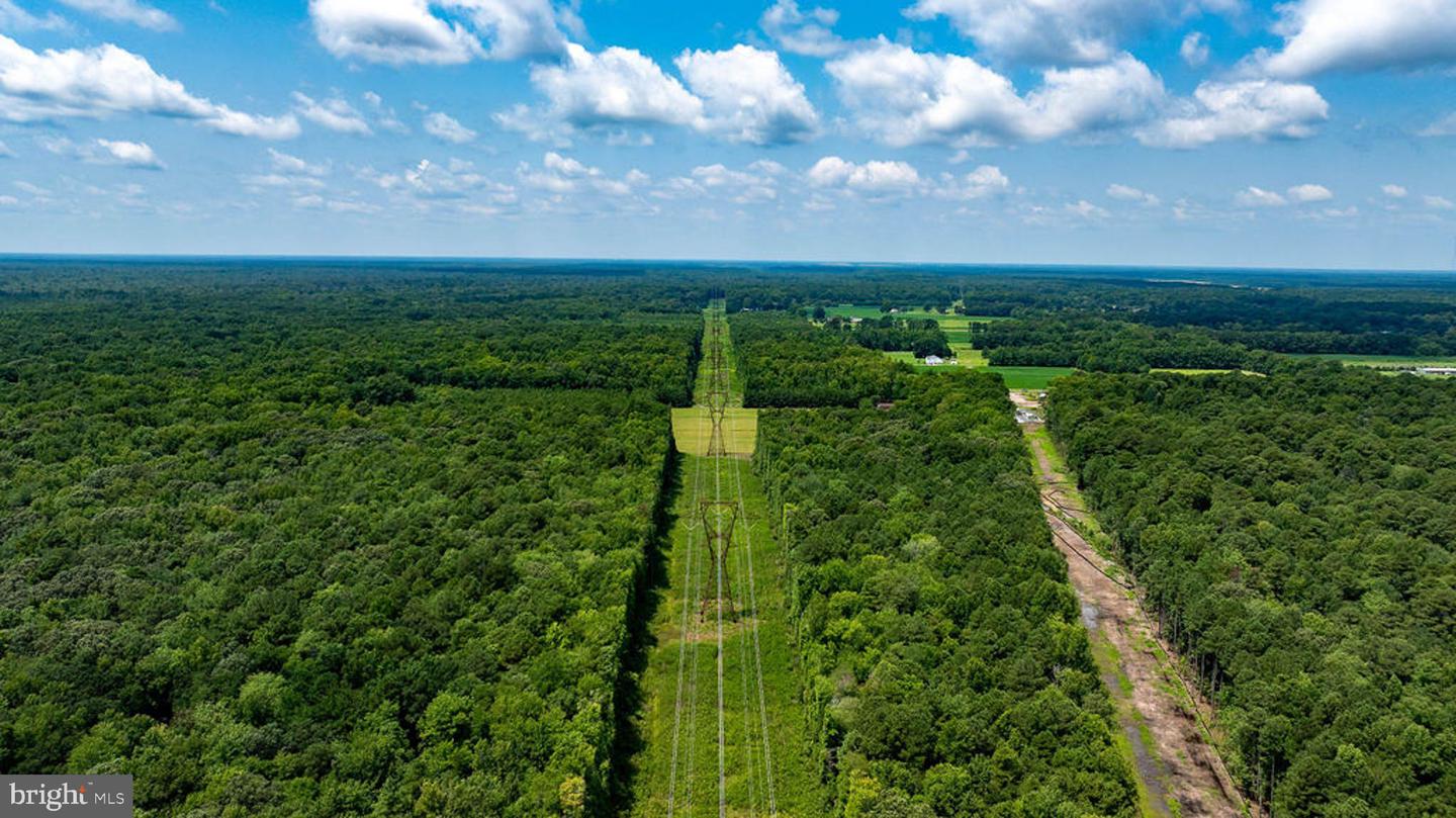 663.8 Acres Peach Rd Property Photo 28