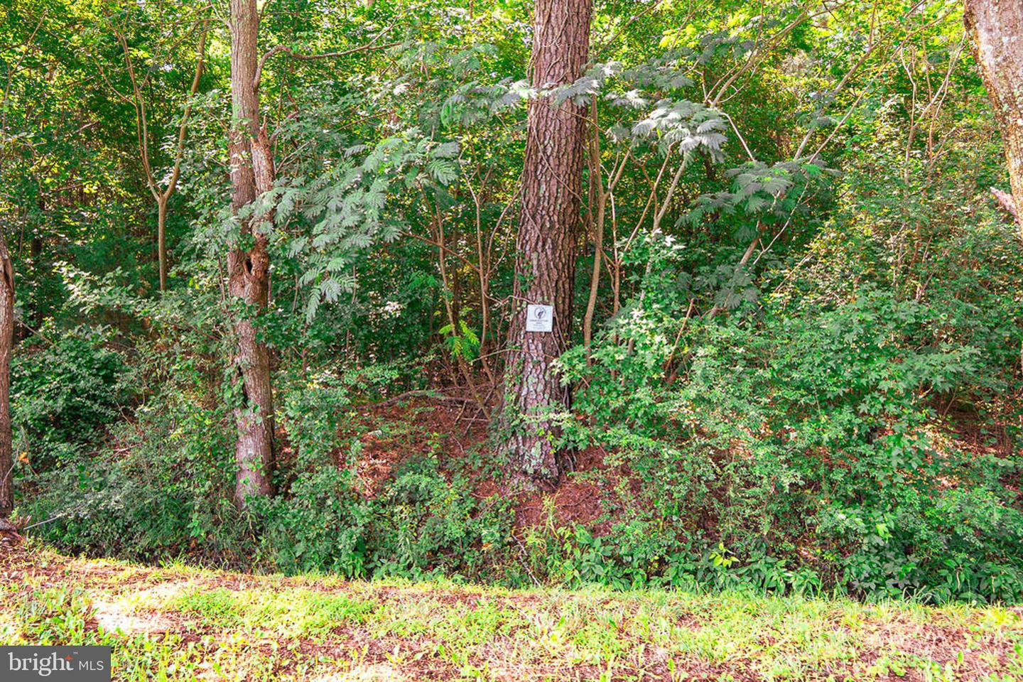 663.8 Acres Peach Rd Property Photo 29