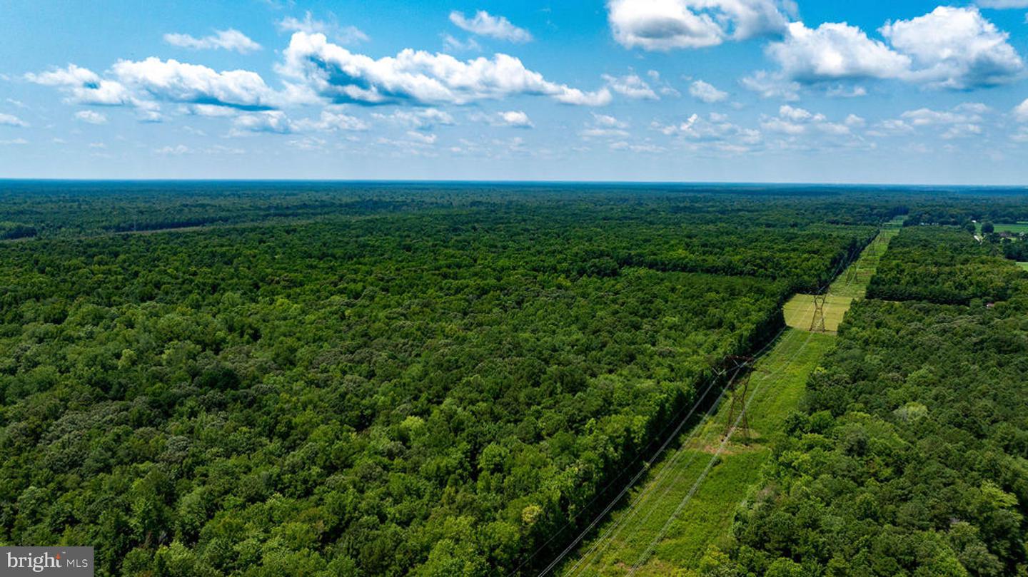 663.8 Acres Peach Rd Property Photo 30