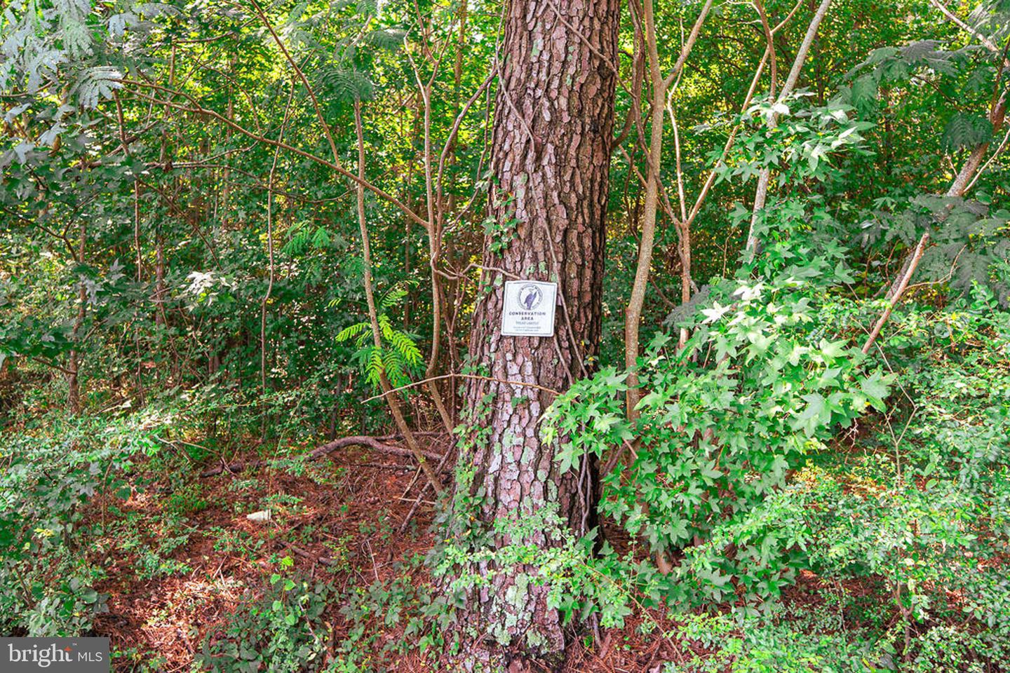 663.8 Acres Peach Rd Property Photo 31
