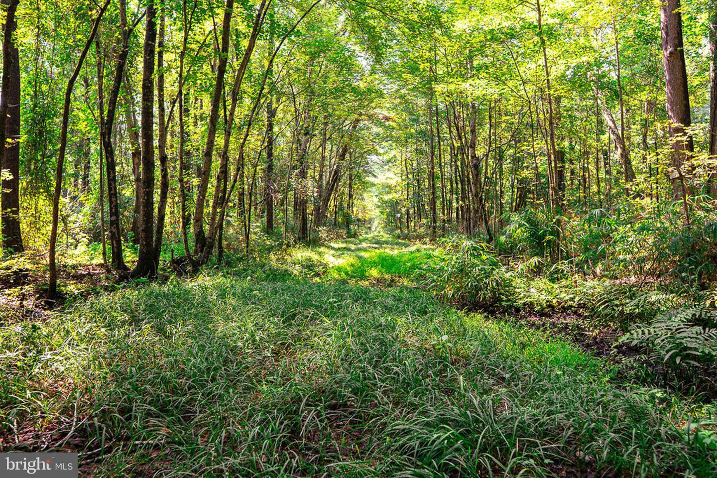 663.8 Acres Peach Rd Property Photo 32