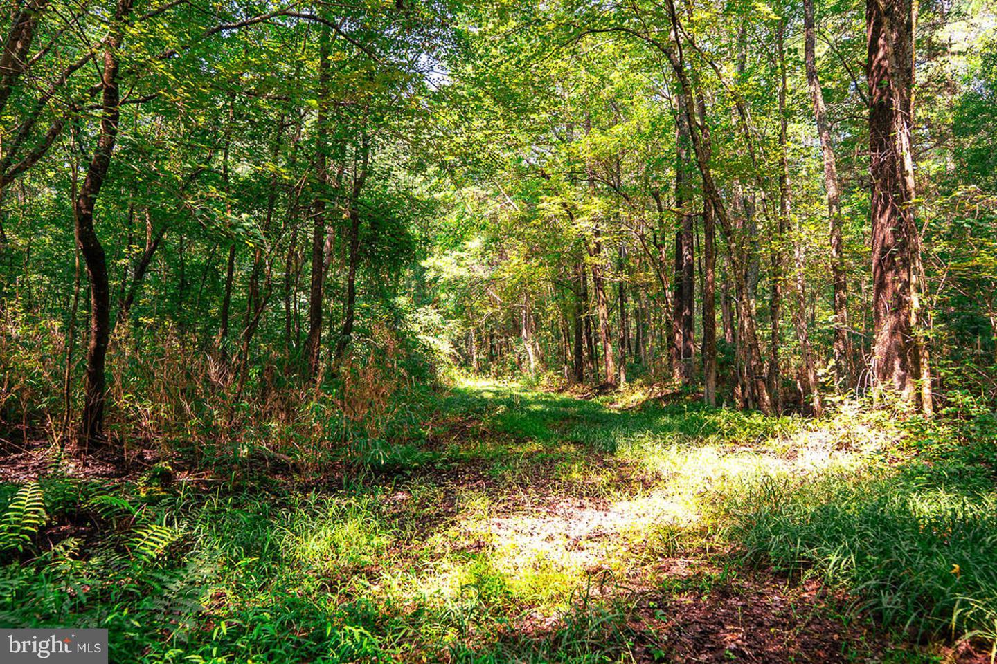 663.8 Acres Peach Rd Property Photo 33