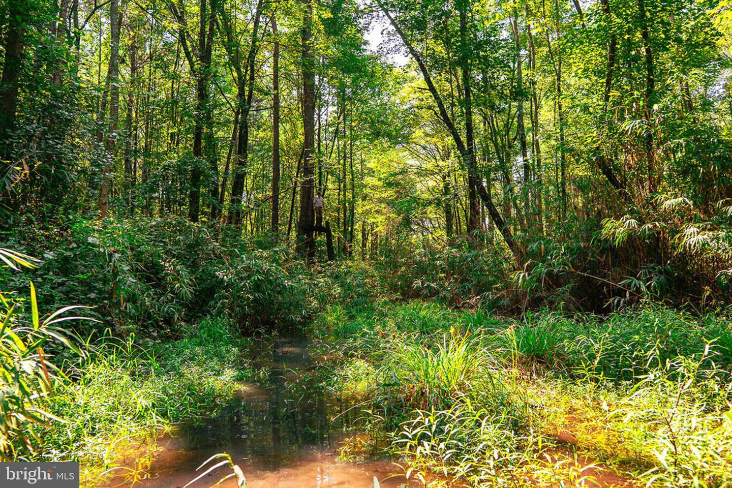 663.8 Acres Peach Rd Property Photo 34