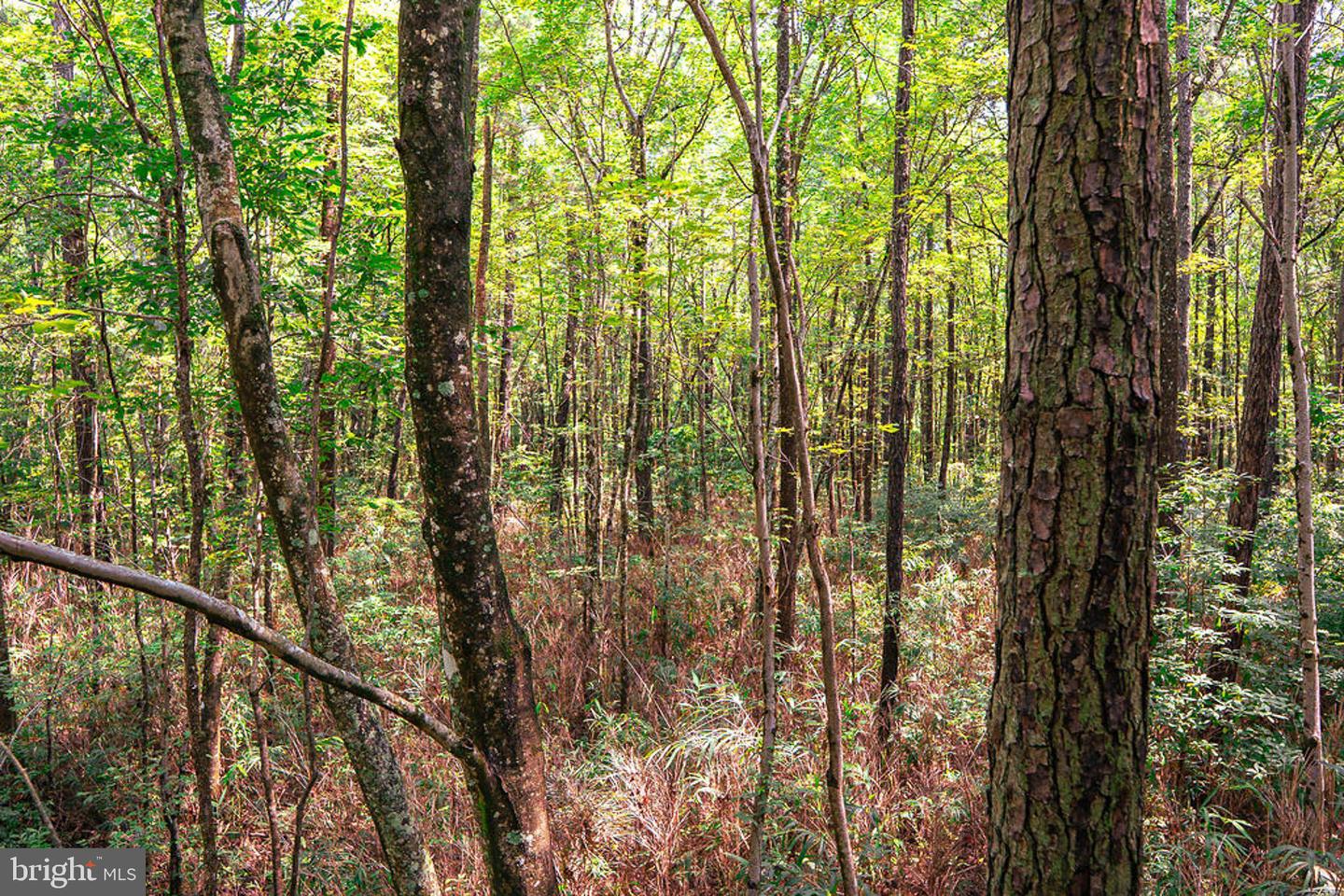 663.8 Acres Peach Rd Property Photo 35
