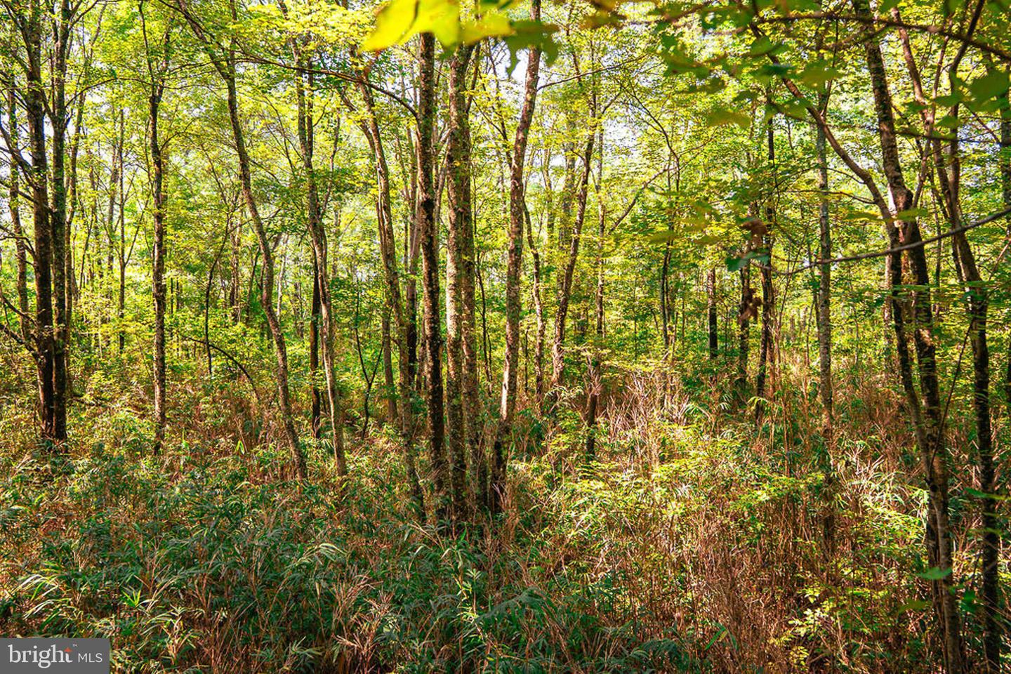 663.8 Acres Peach Rd Property Photo 36