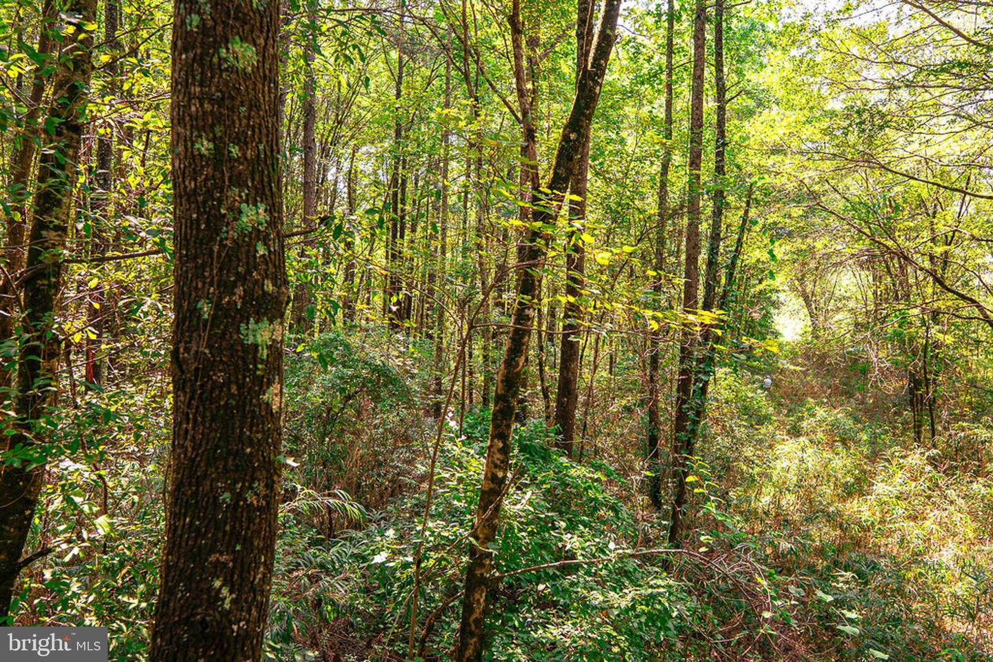 663.8 Acres Peach Rd Property Photo 37