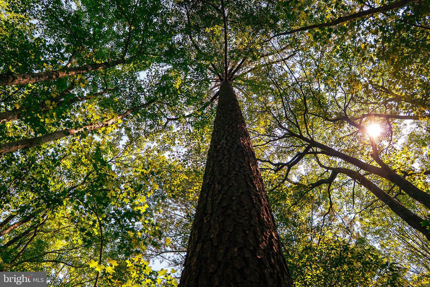 663.8 Acres Peach Rd Property Photo 40