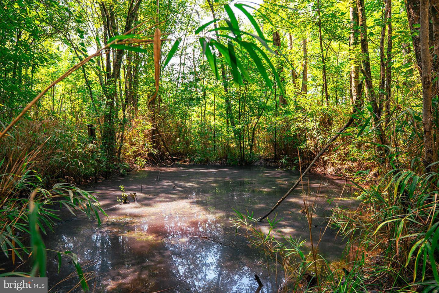663.8 Acres Peach Rd Property Photo 41