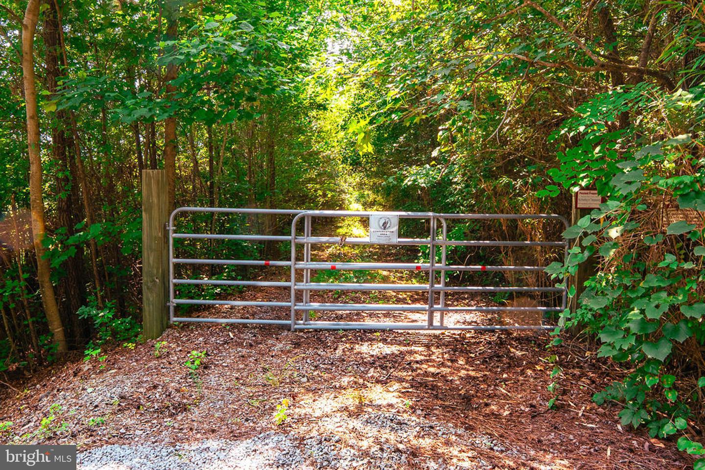 663.8 Acres Peach Rd Property Photo 43