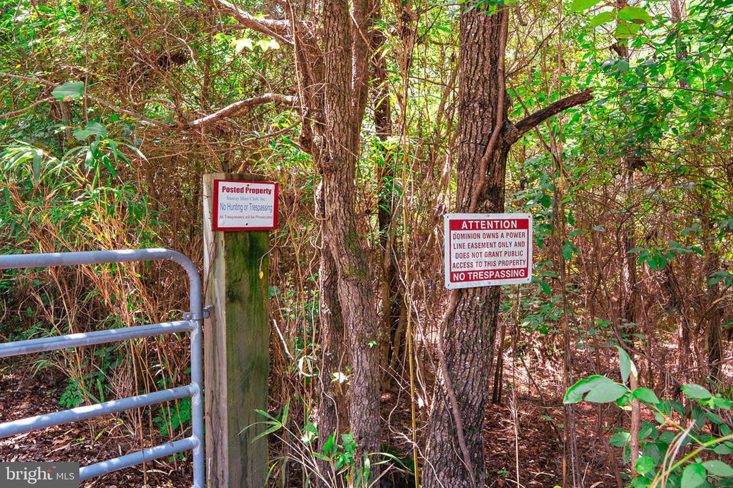 663.8 Acres Peach Rd Property Photo 44