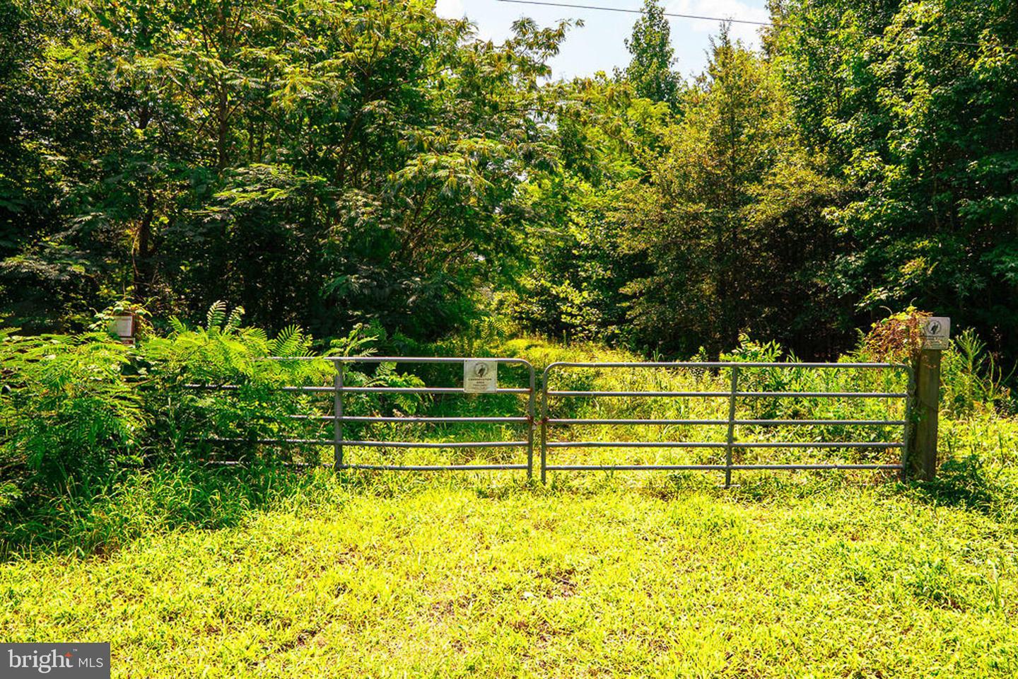 663.8 Acres Peach Rd Property Photo 45