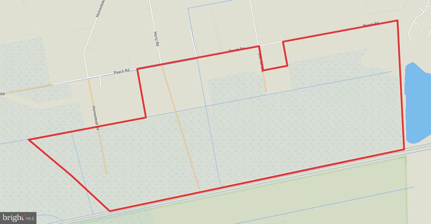 663.8 Acres Peach Rd Property Photo 46