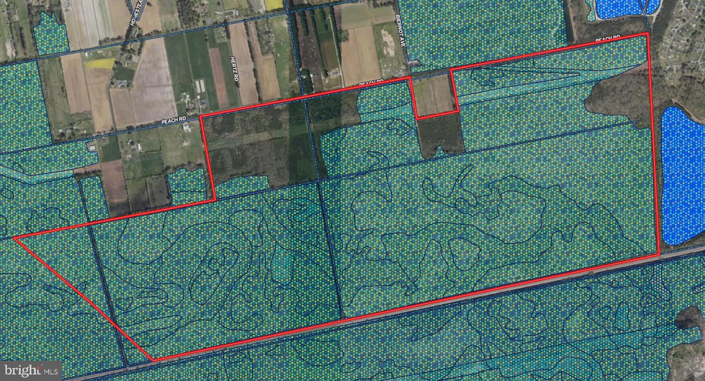 663.8 Acres Peach Rd Property Photo 47