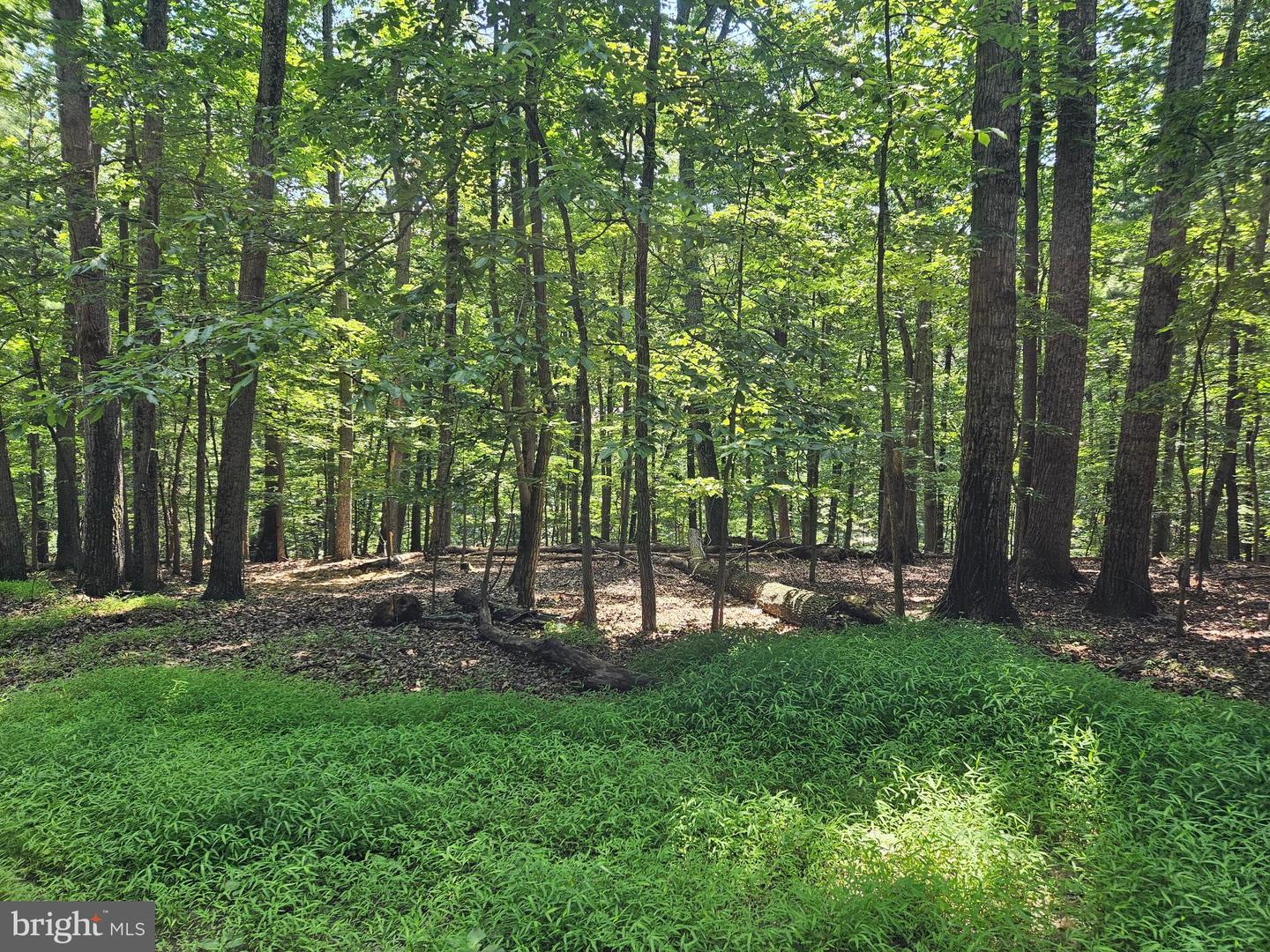 Dogwood Ln Property Photo