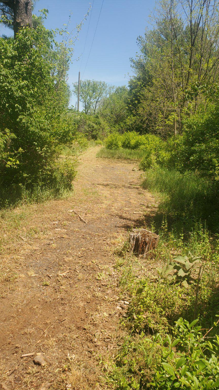 12483 Lord Fairfax Hwy Property Photo 7