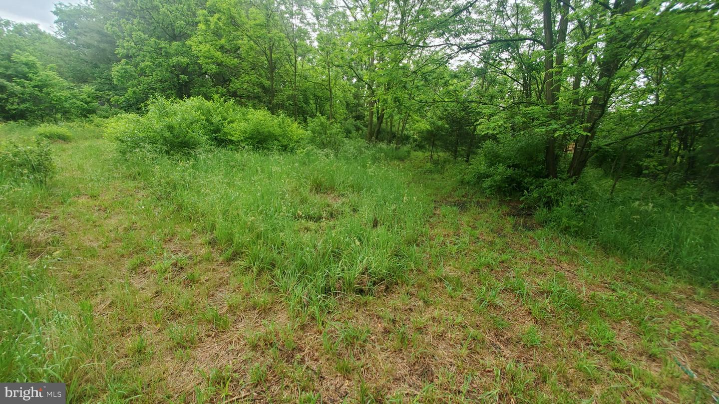 12483 Lord Fairfax Hwy Property Photo 10