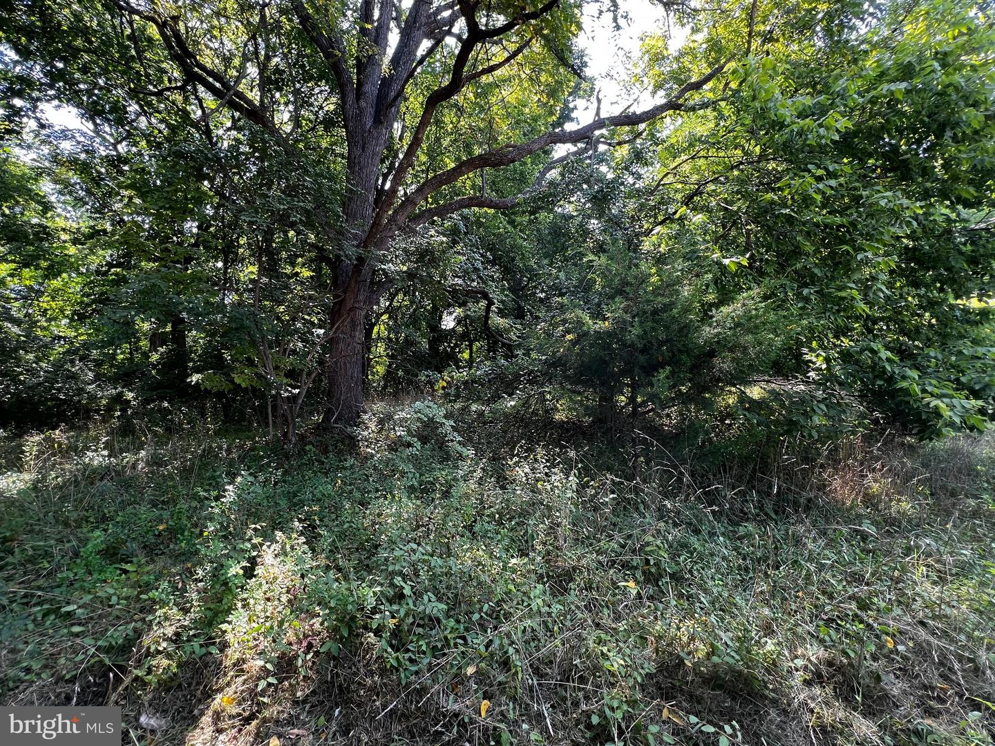 E Main Property Photo 7