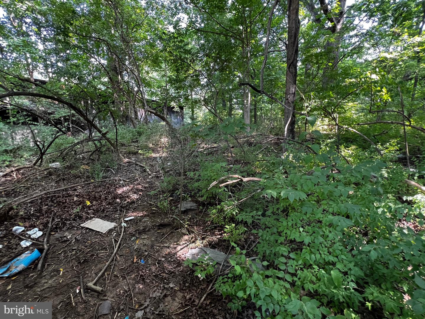 E Main Property Photo 9