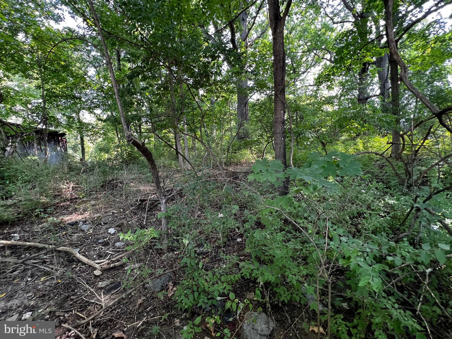 E Main Property Photo 10