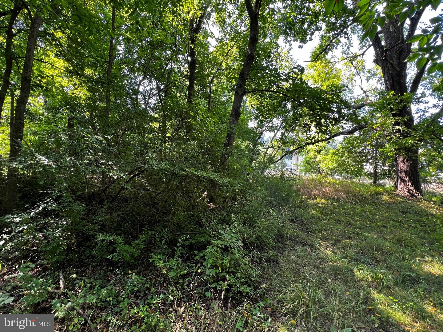 E Main Property Photo 13