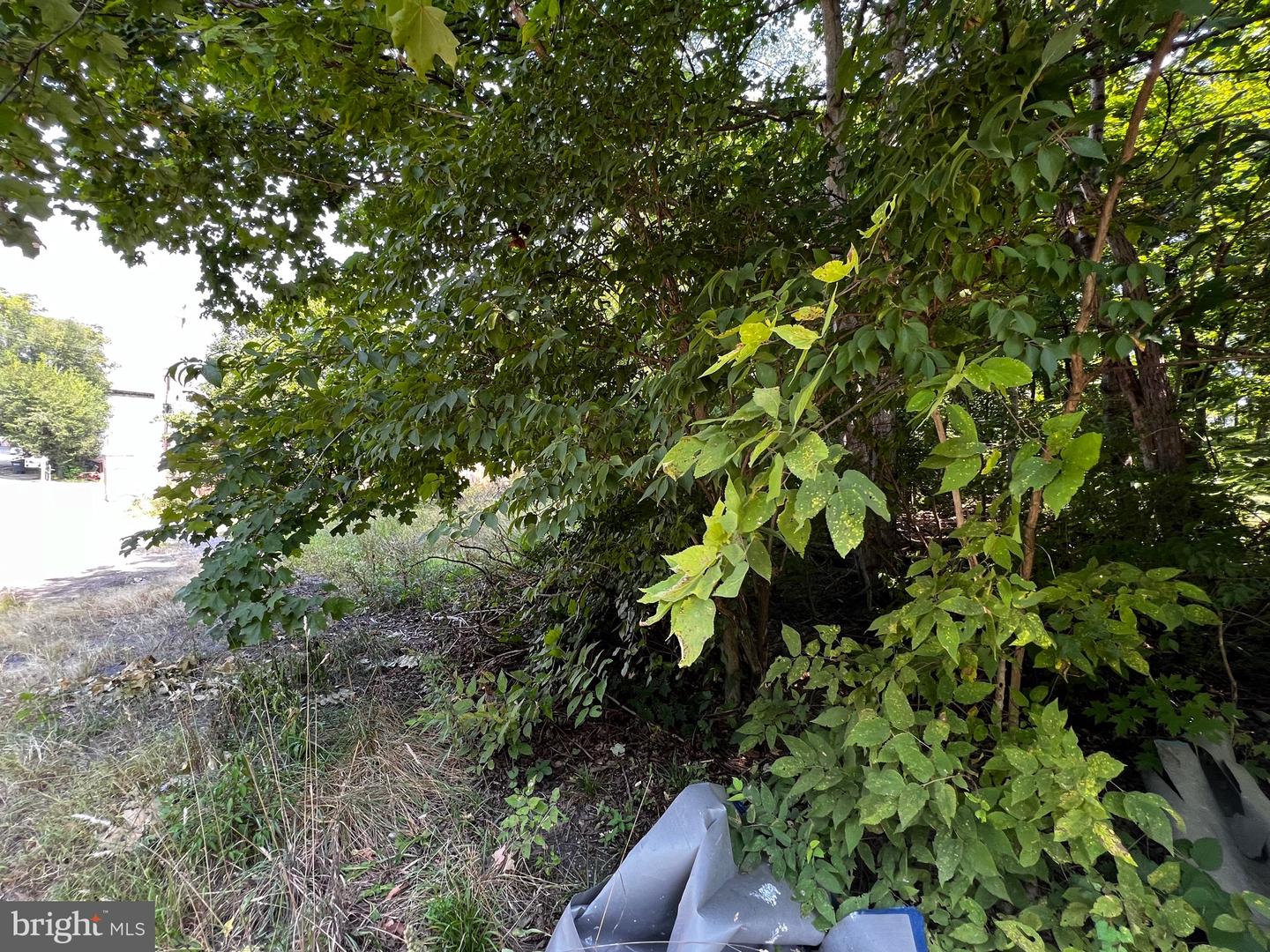 E Main Property Photo 19
