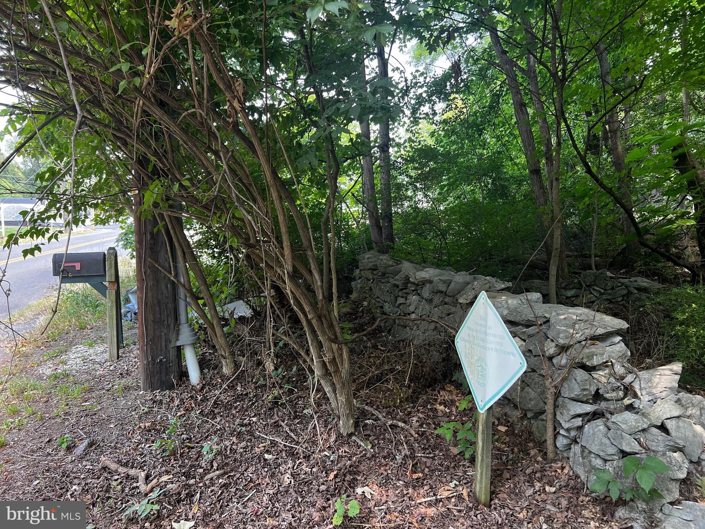 E Main Property Photo 21