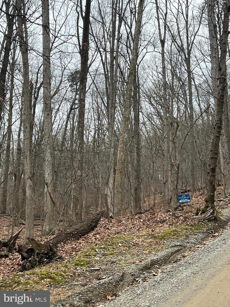 Beechwood Ln Property Photo