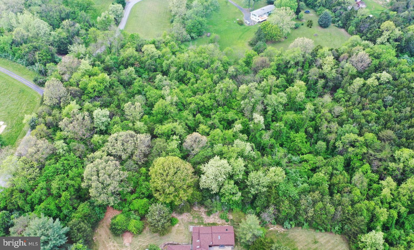 Lot 51 Shenandoah River Ln Property Photo 1