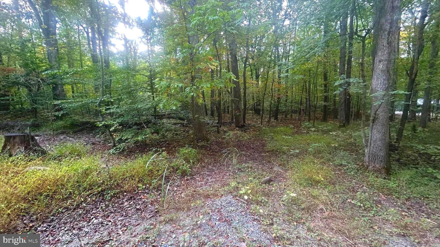 Cliff Lane Property Photo 5