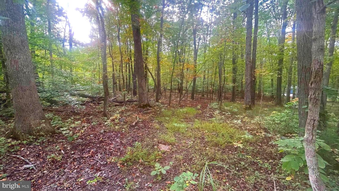 Cliff Lane Property Photo 7