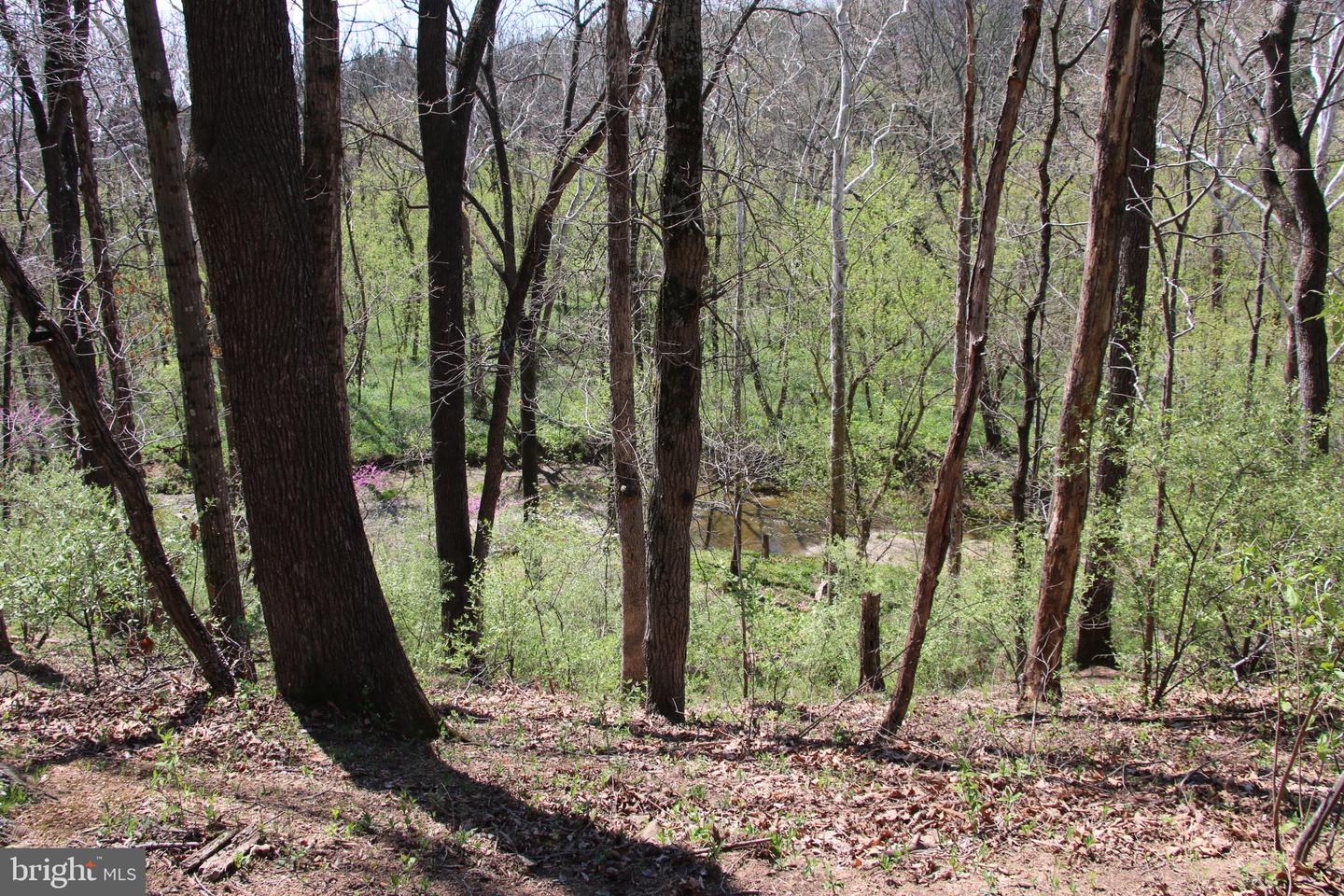 2983 Old Winchester Rd Property Photo 8