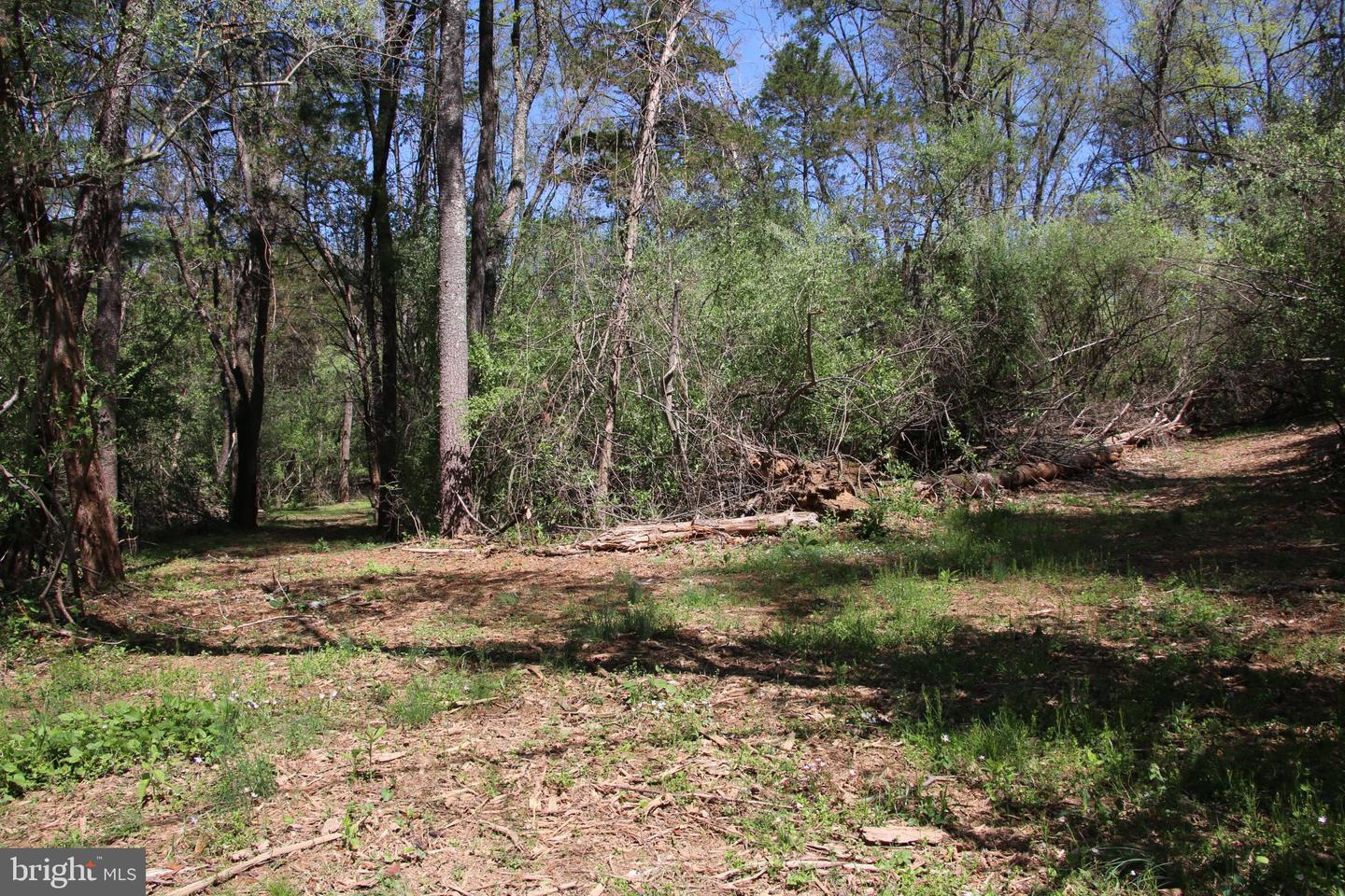 2983 Old Winchester Rd Property Photo 9