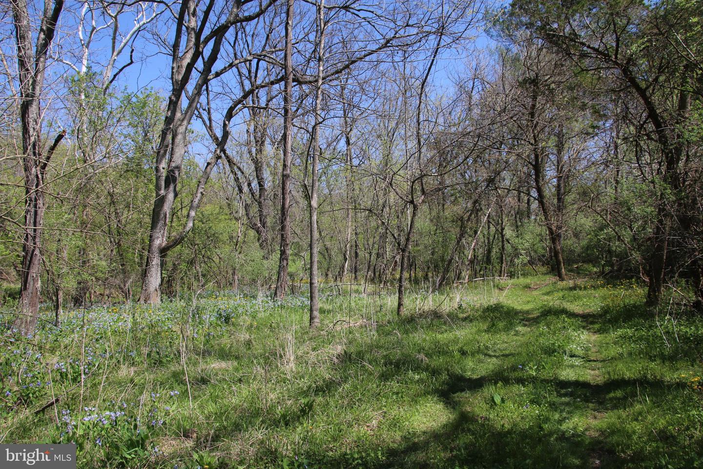 2983 Old Winchester Rd Property Photo 22