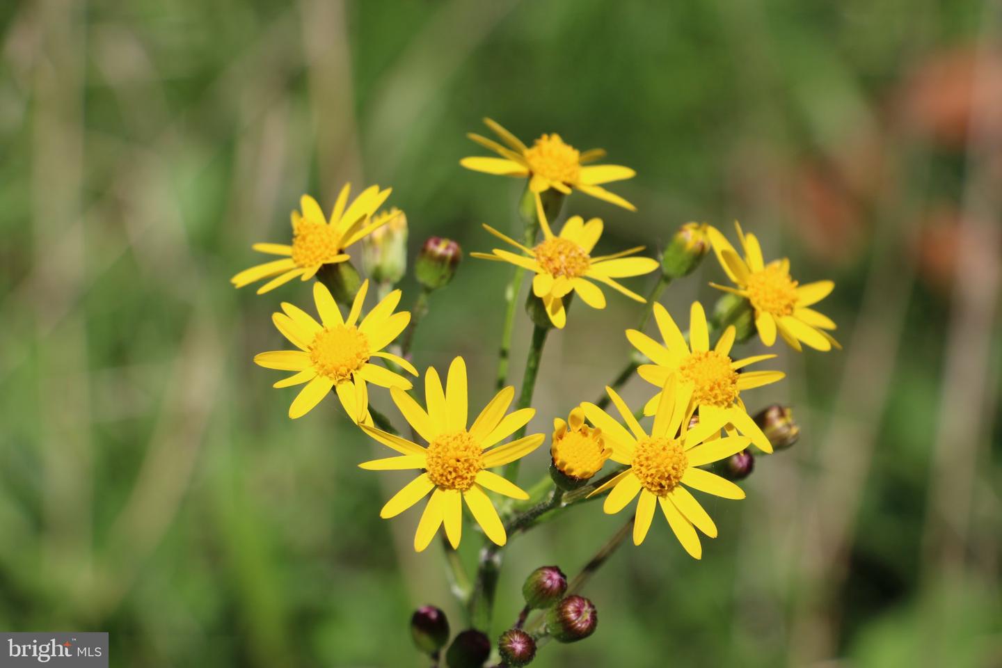 2983 Old Winchester Rd Property Photo 31