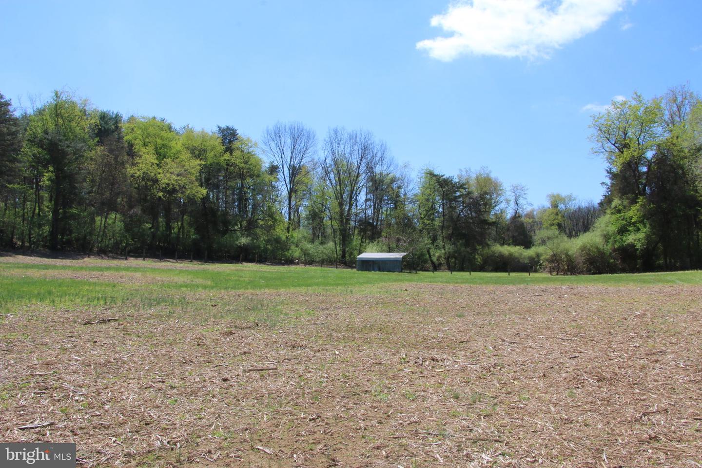 2983 Old Winchester Rd Property Photo 35