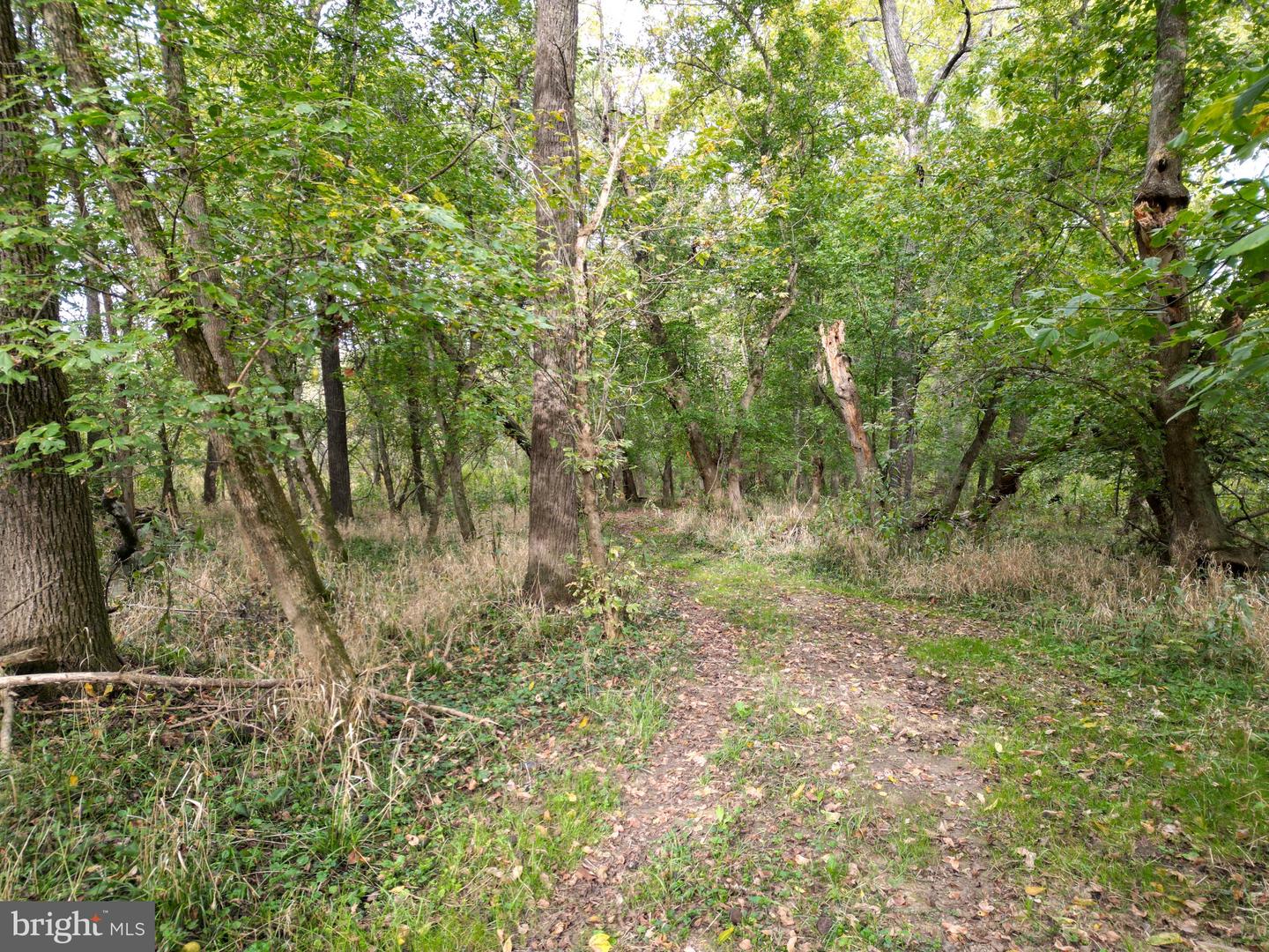 2983 Old Winchester Rd Property Photo 87