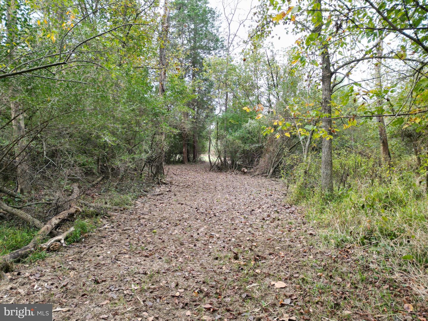 2983 Old Winchester Rd Property Photo 88