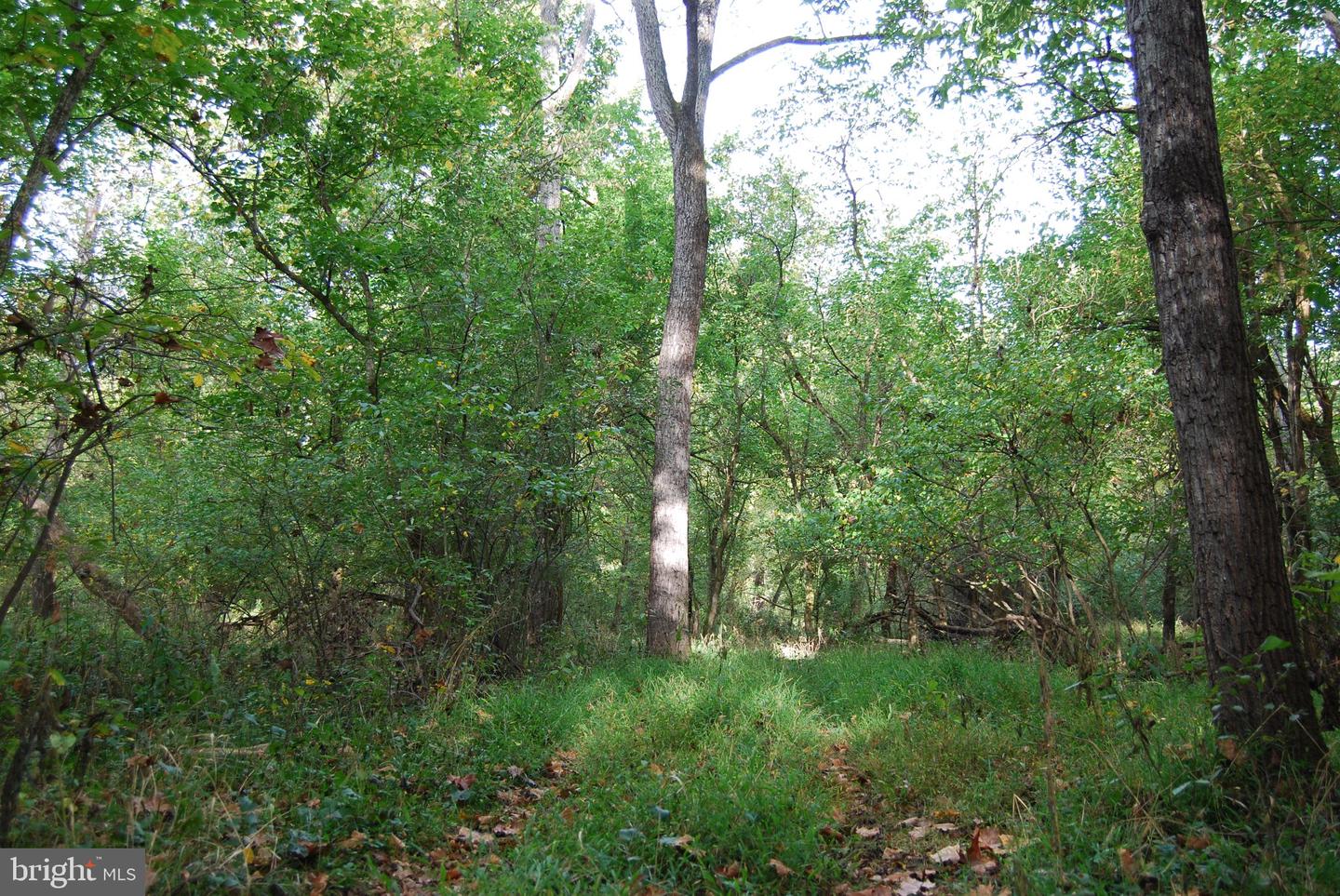 2983 Old Winchester Rd Property Photo 95