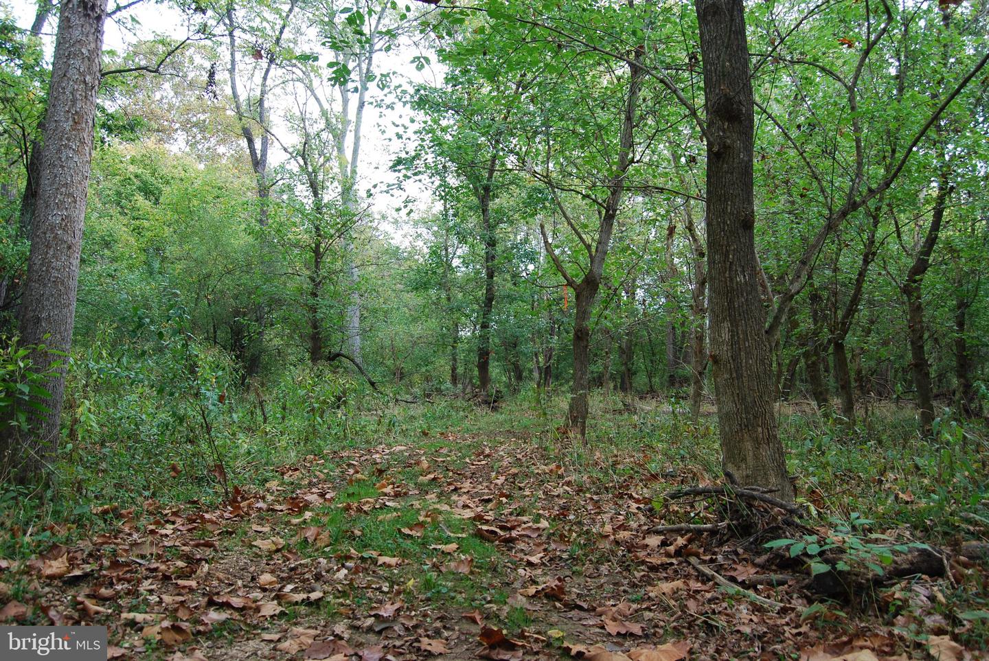 2983 Old Winchester Rd Property Photo 100