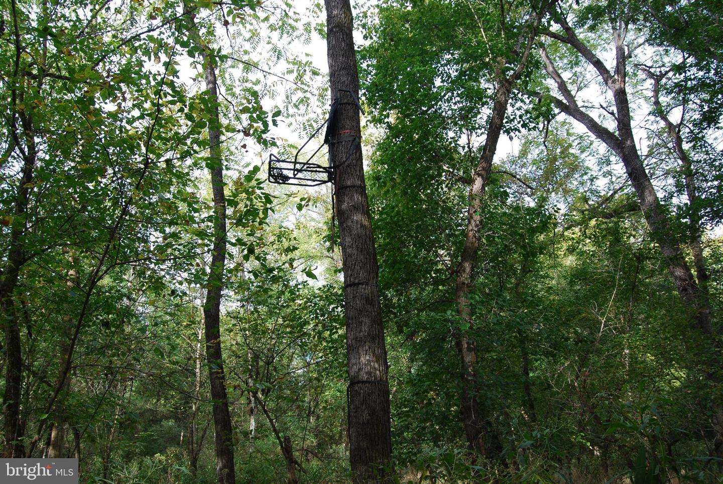 2983 Old Winchester Rd Property Photo 108