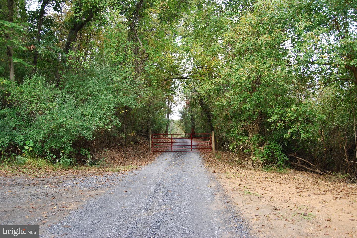2983 Old Winchester Rd Property Photo 109