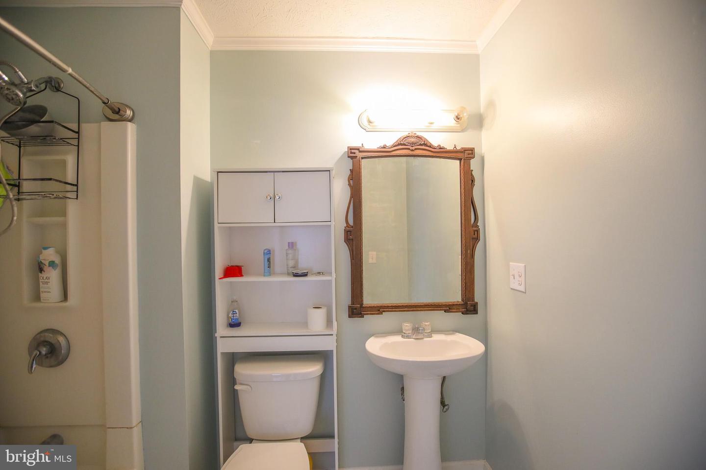 10 Whiting Ave Property Photo 15