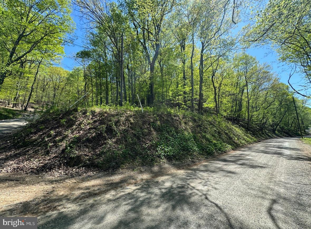 Lot 45 Timber Ln Property Photo 1