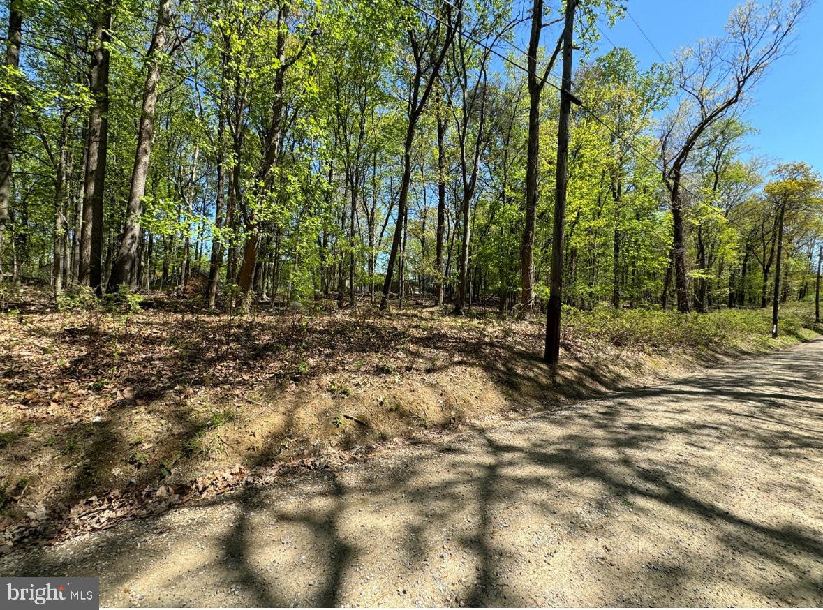 Lot 92 Honeysuckle Ln Property Photo 1