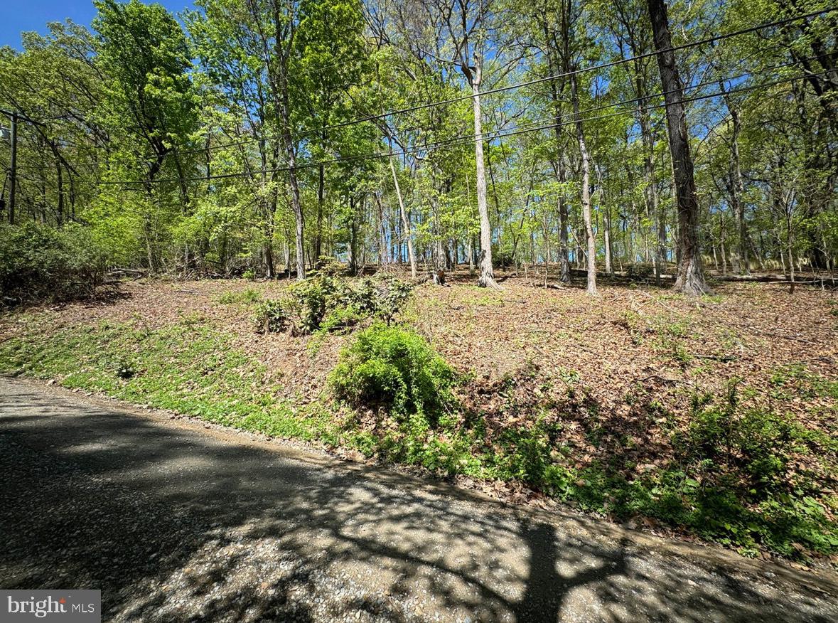 Lot 121 Timber Ln Property Photo 1