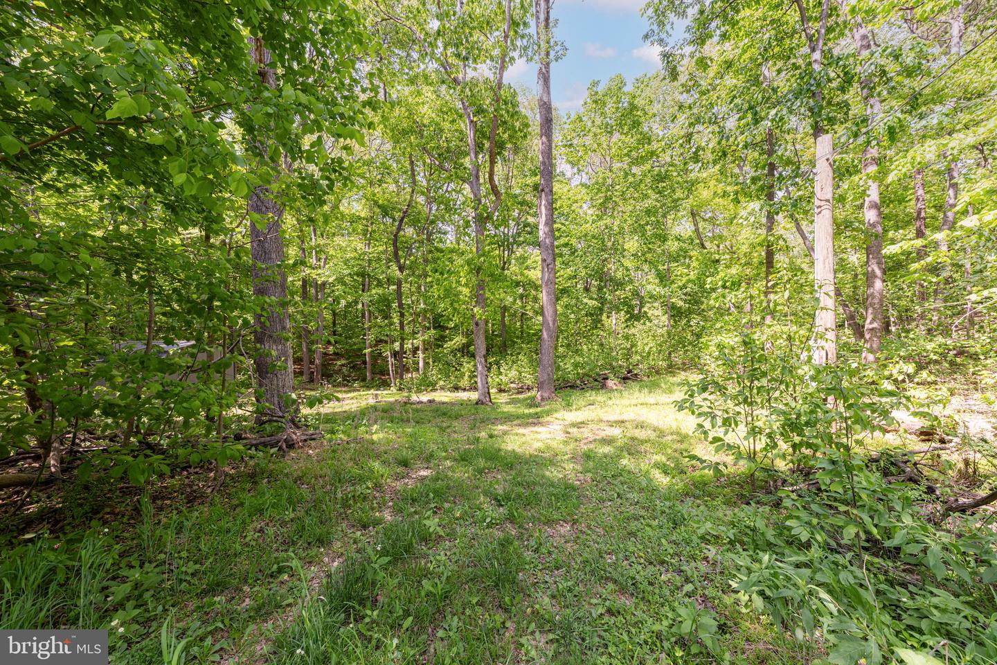 2900 Calmes Neck Lane Ln Property Photo 3