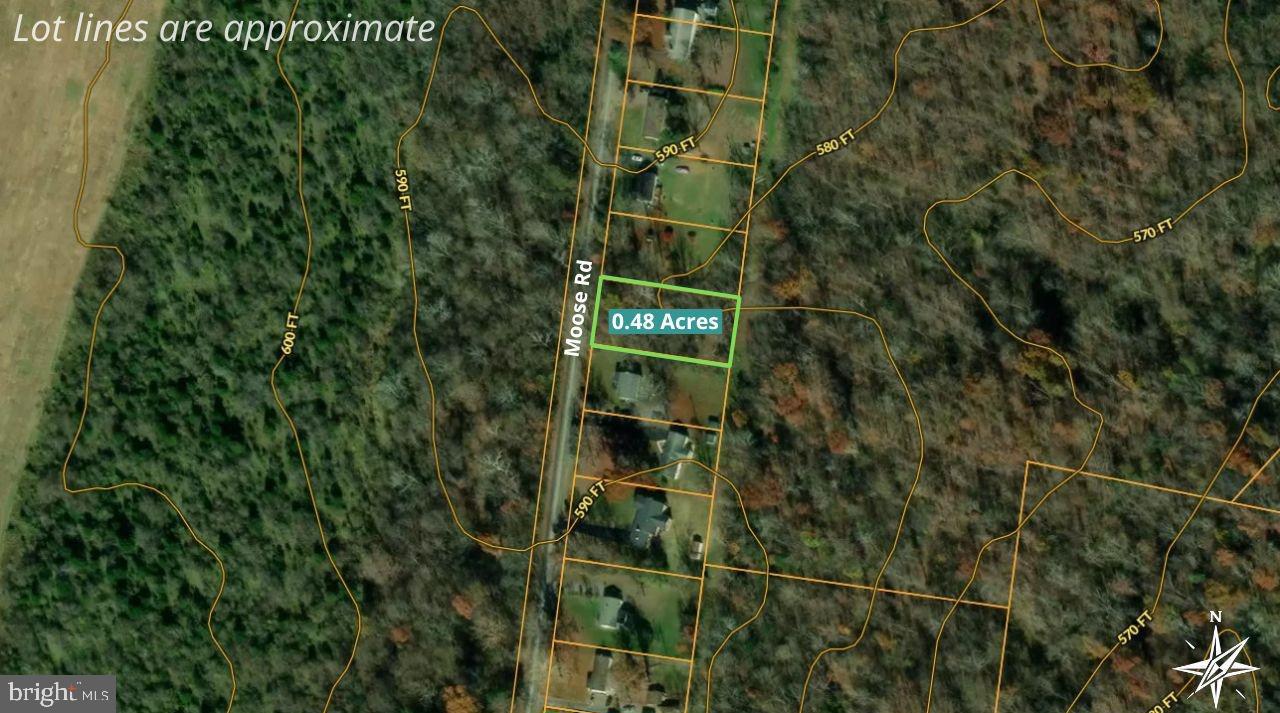 Moose Rd Property Photo 7